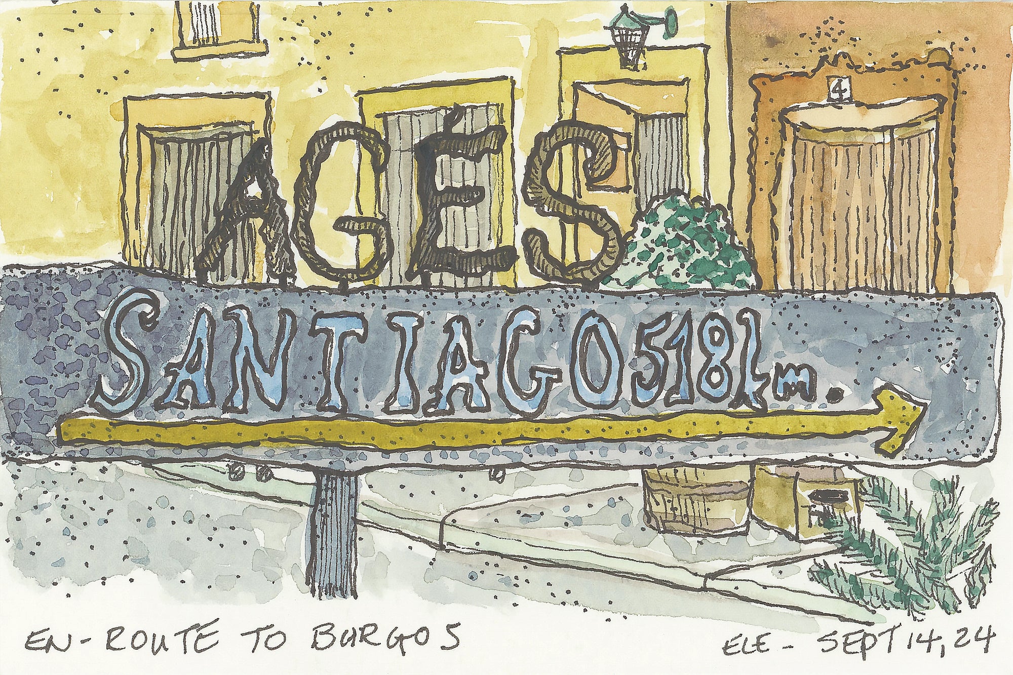 Walking the Camino: A Journey That Changed Me