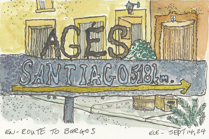 Walking the Camino: A Journey That Changed Me