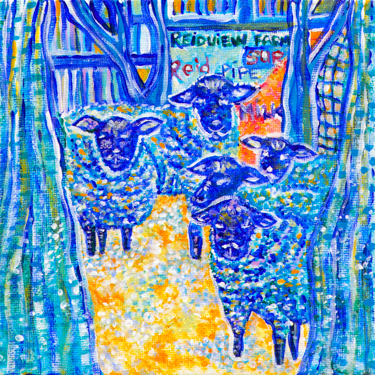 Amherst Island Sheep Print