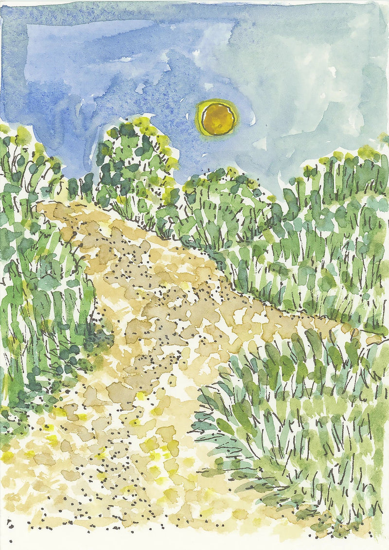 Camino watercolor of sunny trail surrounded by green bushes