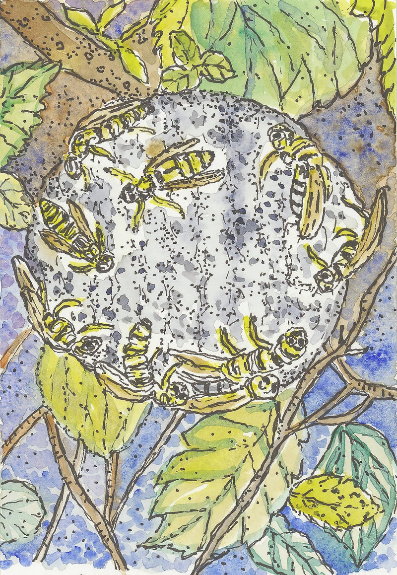 Camino watercolor of wasps building a nest among leaves