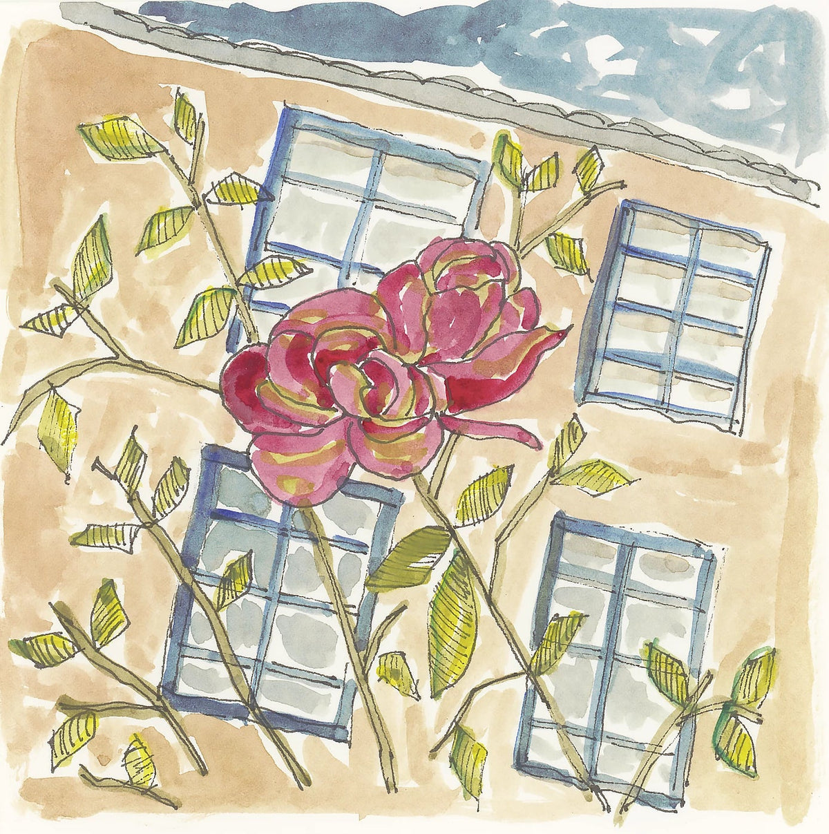 Camino watercolor of red roses climbing a beige building with blue-framed windows