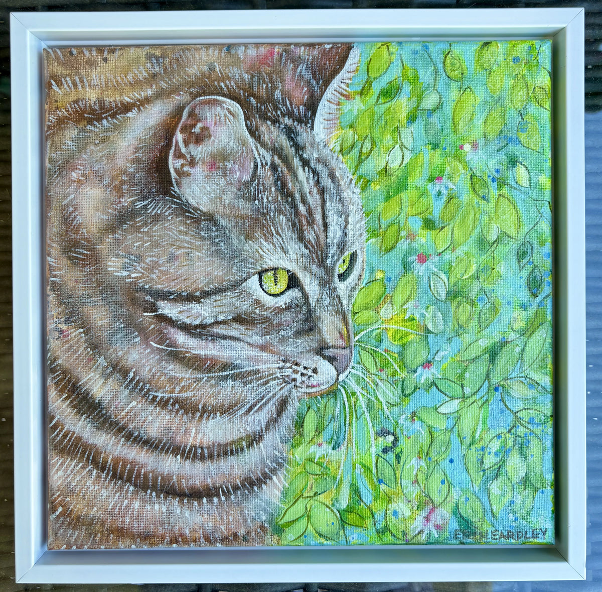 Moncton Green Eyes