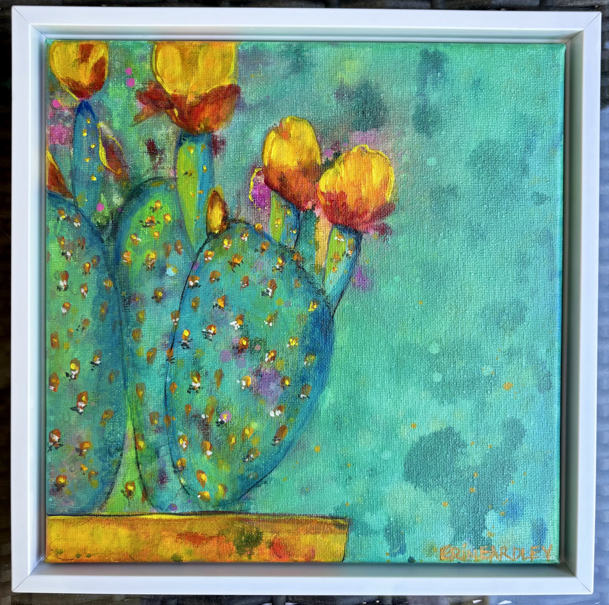 Orange Cactus