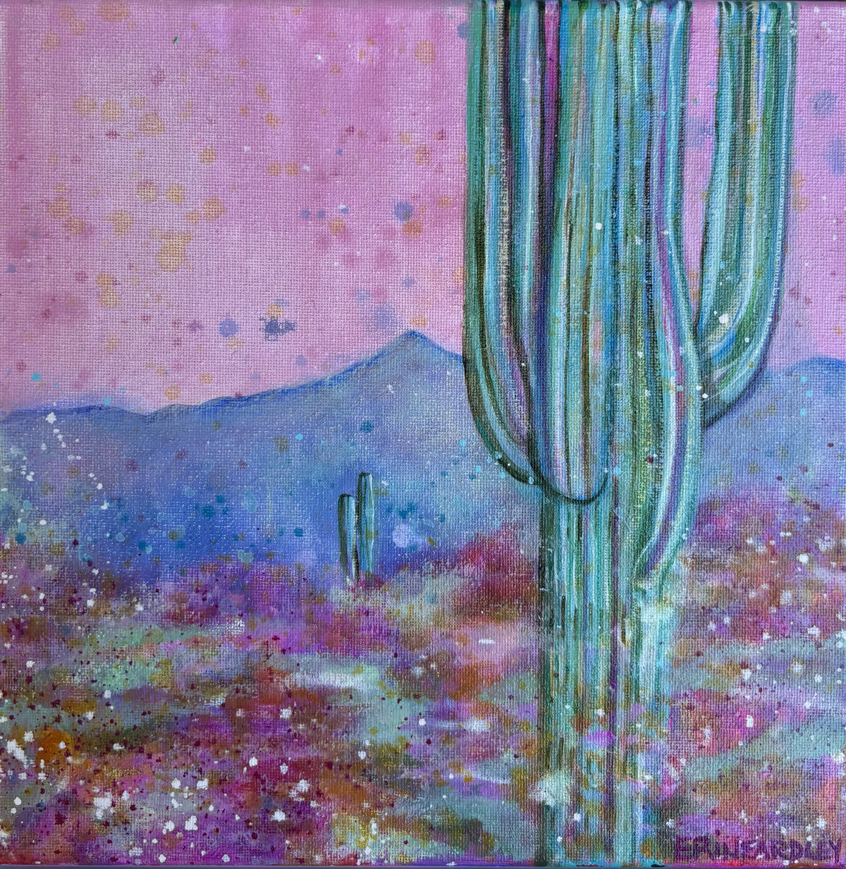 Large Cacti