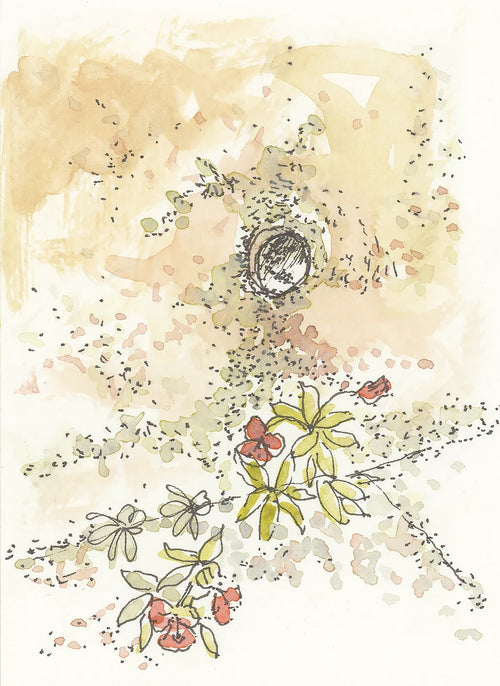 Camino print of wall with flowers and round opening