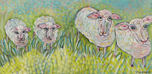 Four sheep standing in tall green grass 