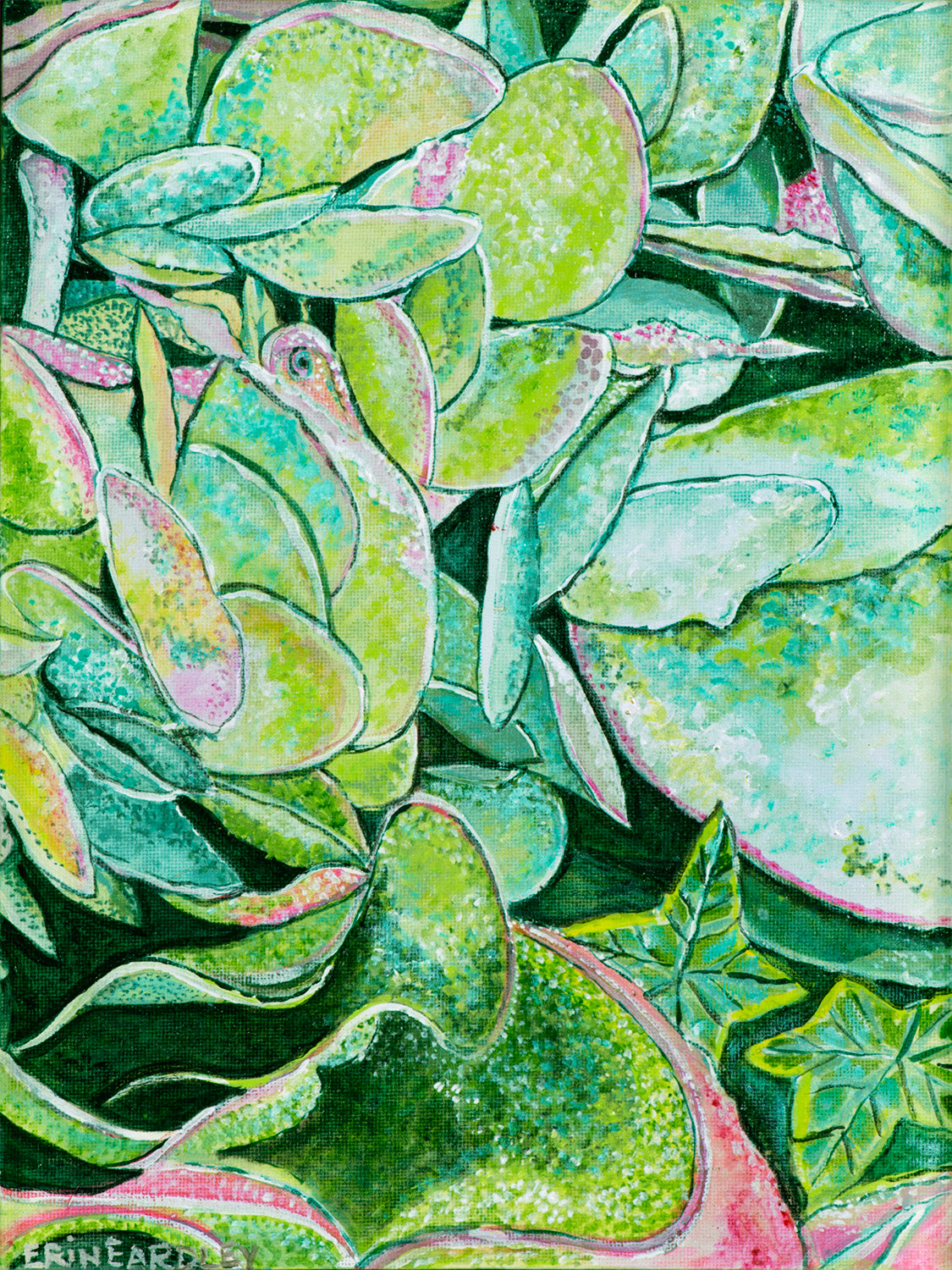 Succulents Print