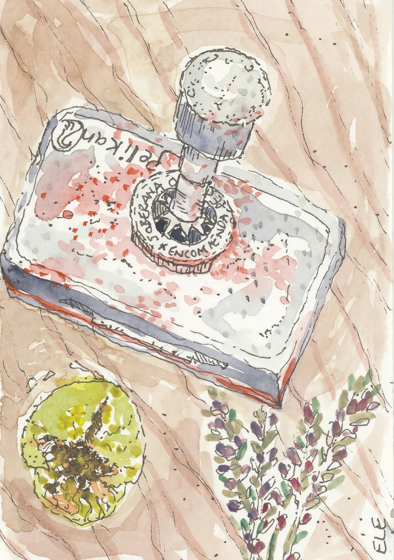 Camino sketch of ink stamp, fruit, and lavender sprig