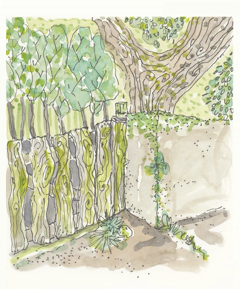 Camino watercolor of mossy wooden fence and stone wall under trees